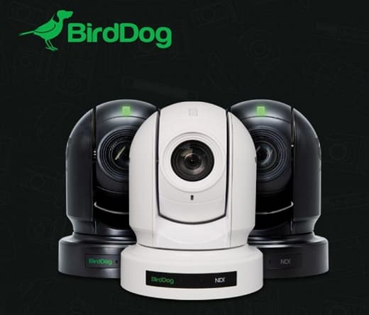 birddog NDI cameras